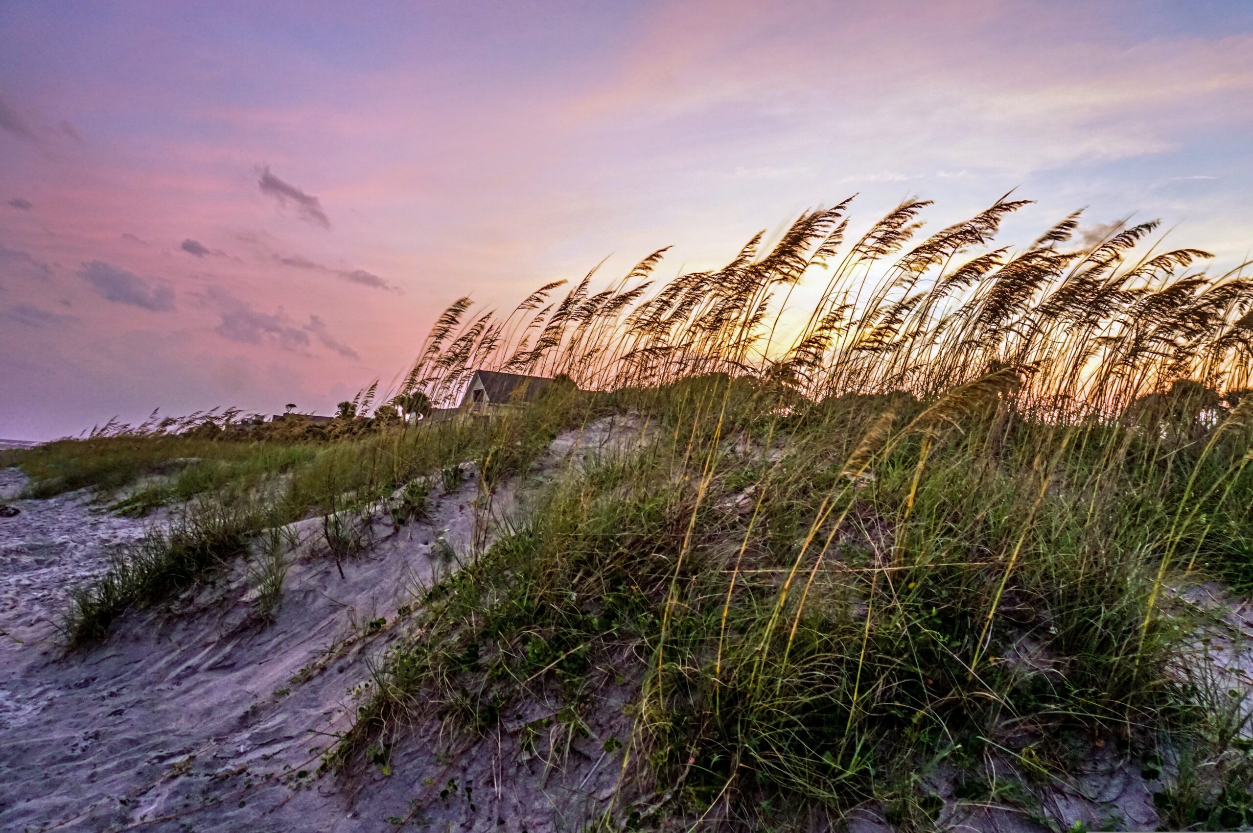 RN Administrator Surgery Center (Hilton Head Island, SC)